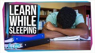 How to Learn While You Sleep