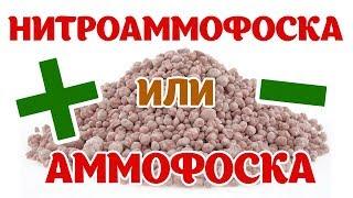 Комплексные удобрения Нитроаммофоска и Аммофос. Плюсы и минусы