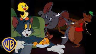 Tom et Jerry en Français   Tous les animaux dans Tom & Jerry    @WBKidsFrancais​