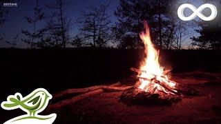 Relaxing Music & Campfire • Relaxing Guitar Music Soothing Music Calm Music