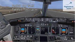 How do you Takeoff a Boeing 737?  Real 737 Pilot Tutorial  PMDG 737