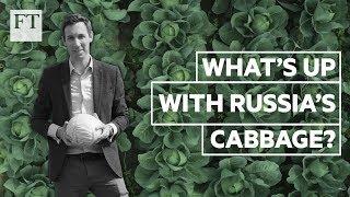 What cabbage inflation says about the Russian economy  FT