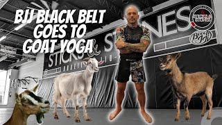 The real GOAT of BJJ Improving your mobility with 4 legged friends