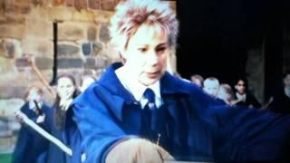 Harry Potter and the Philosophers Stone - madam hooch dive.