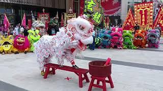 2023  new year lion dance