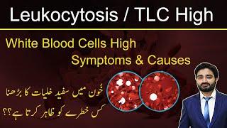LeukocytosisTLC High  White blood cells high symptoms & causes  خون میں وائٹ سیلز کیوں بڑھتے ہیں