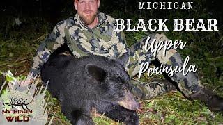 MI Public Land Bear Hunt  Upper Peninsula