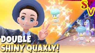 SHINY QUAXLY HATCHED TWICE Masuda Method Shiny Hunt in Pokemon Violet Live Stream