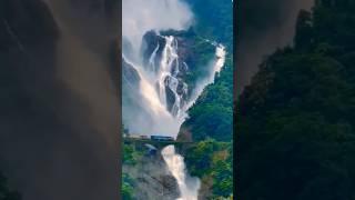 Doodh Sagar Waterfall  How to Reach Doodh Sagar Waterfall #DoodhSagar #Goa #GoaExplore #Shorts