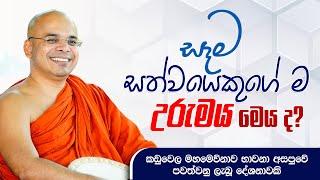 සෑම සත්වයෙකුගේ ම උරුමය මෙය ද?  Ven Aludeniye Subodhi Thero