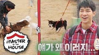 Even the Dogs Can Sense Master Kangs Professionalism Master in the House Ep 62