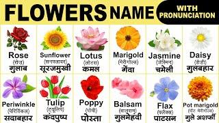 Flowers name with pronunciation  Flowers name with spelling  Flowers name with picture