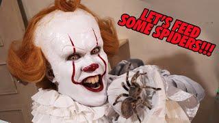 Pennywise feeding some BIG TARANTULAS Scary large spiders  Prince De Guzman Transformations