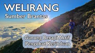 WELIRANG Sumber Brantas - Gunung Berapi Aktif Pengobat Kerinduan  RIKAS HARSA