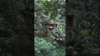 Tiny Home Jungle Villa w Waterfall & Beach 60-Second Airbnb Tour