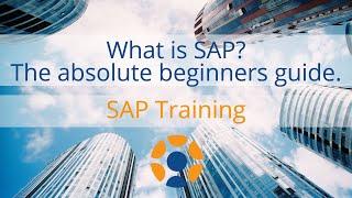What is SAP - The Absolute Beginners Guide