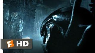 AVP Alien vs. Predator 2004 - Alien vs. Predator Scene 25  Movieclips