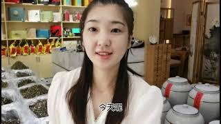 【茶小纯】茶店老板娘，豪横拿出几十款茉莉花茶，手把手教你如何区分好坏