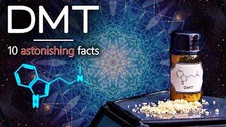 10 Astonishing Facts about DMT the Spirit Molecule