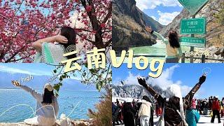 呆萱云南Vlog也我一起去有風的地方吧8天7夜玩什麼玉龍雪山️麗江櫻花洱海昆明️大理️麗江️香格里拉