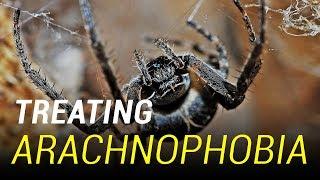 Treating Arachnophobia Spider Phobia