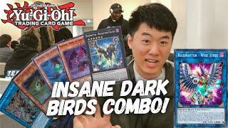 Insane Blackwing Combo from Tim Li - Yu-Gi-Oh Feat. Raidraptor - Wise Strix