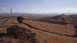 Siccità e desertificazione la Sicilia deve fare i conti con il cambiamento climatico