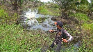 HOKI BANGET  Pemancing ini Temukan Rawa Yang Dihuni Banyak Sekali Ikan2 Ganas