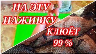 СУПЕР НАЖИВКА ДЛЯ РЫБАЛКИ на САЗАНА ЛЕЩА КАРАСЯ насадка по холодной воде. Рыбалка 2024 для новичков