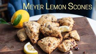 Meyer Lemon Cranberry Scones- So Delicious