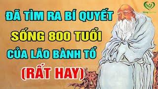 Bí Quyết Sống Thọ 800 Năm Rất Đơn Giản Chỉ Cần Làm Được 1 Điều Bạn Sẽ Thọ 100 Tuổi