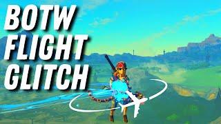 How To Do BLSS Glitch In Zelda BOTW With Troubleshooting Tips