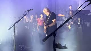 David Gilmour Comfortably numb  Live Albert Hall October 15 2024