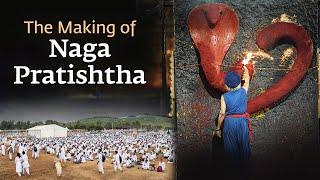 Naga Pratishtha BTS - Preparing The Ground For 16000 Devotees