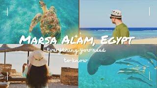 Watch this before visiting Marsa Alam Egypts hidden gem Things to do in Marsa Alam