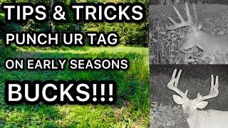 HOW TO PUNCH UR TAG ON A BIG BUCK EARLY SEASON     HD 1080p