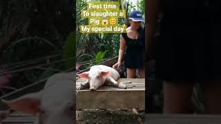 HOW I slaughter a pig #catmonvlogger