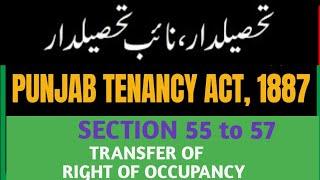 SEC 55 to 57 of Punjab Tenancy Act 1887 I Transfer of Right of Occupancy