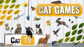 CAT Games  Ultimate Cat TV Compilation Vol 76  2 HOURS 