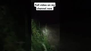 crazy lady In the cemetery graveyard real ghost caught on camera spooky scary