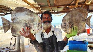 Huge Bat Fish Cutting Skills