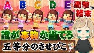 【あつ森】5等分された中から本物を見つけ出せ5等分のさせぴこ【うさごん】