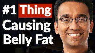 Warning Signs That Predict An Early Death - Cause Of Belly Fat Disease & Inflammation  Dr. Pal