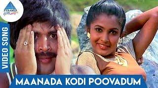 Maanada Kodi Song  Muthal Vasantham  Sathyaraj  Pandiyan  Ramya Krishnan  Pyramid Glitz Music