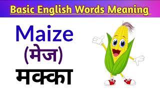 Basic English Words Meaning Practice for Beginners General Dictionary Vocabulary Learn with Anu