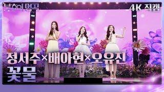 가로 직캠 정서주&배아현&오유진 - 꽃물 불후의 명곡2 전설을 노래하다Immortal Songs 2  KBS 240518 방송