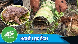 Ký ức miền quê  Nghề lọp ếch  THKG