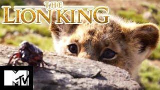 Disneys The Lion King  Official Trailer  MTV Movies