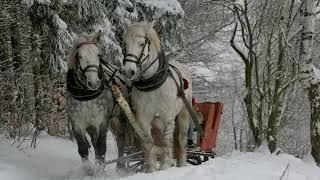 Stefan Hrusca   Colaj colinde  Christmas Music  Cantece de craciun