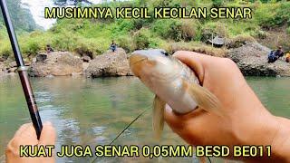 AMPUN DEH....GANAS GANAS IKAN NILEM DI SPOT INI